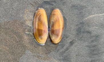 Briefs for April 11, 2026