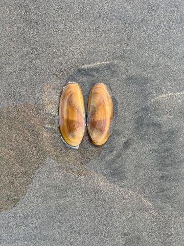 Briefs for April 11, 2026