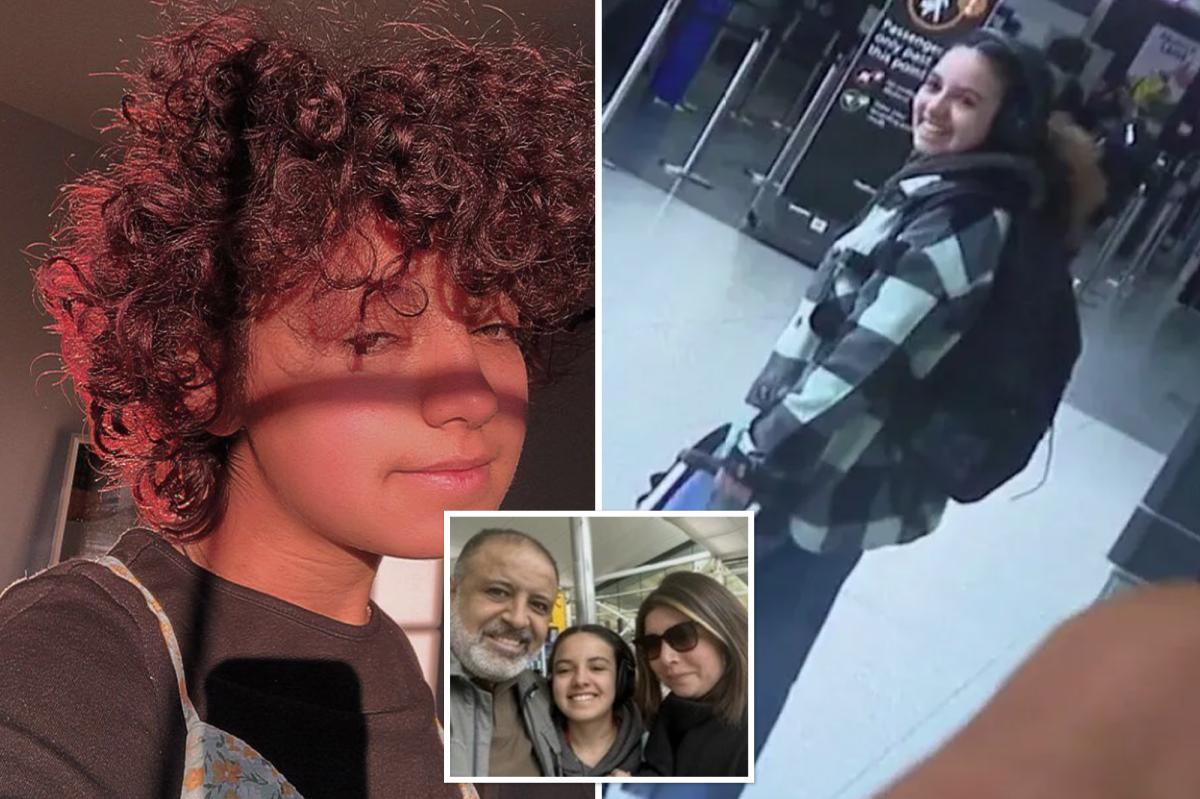 Missing UK woman who vanished on solo trip to California after meeting man found safe