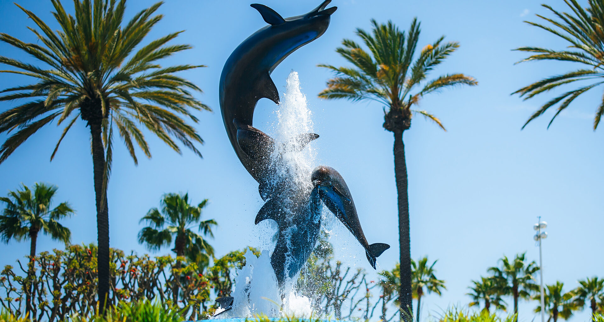 Defending Winner Kirkwood Leads Andretti Charge at Long Beach
