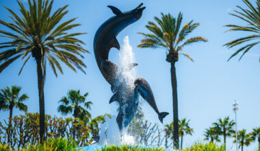 Defending Winner Kirkwood Leads Andretti Charge at Long Beach