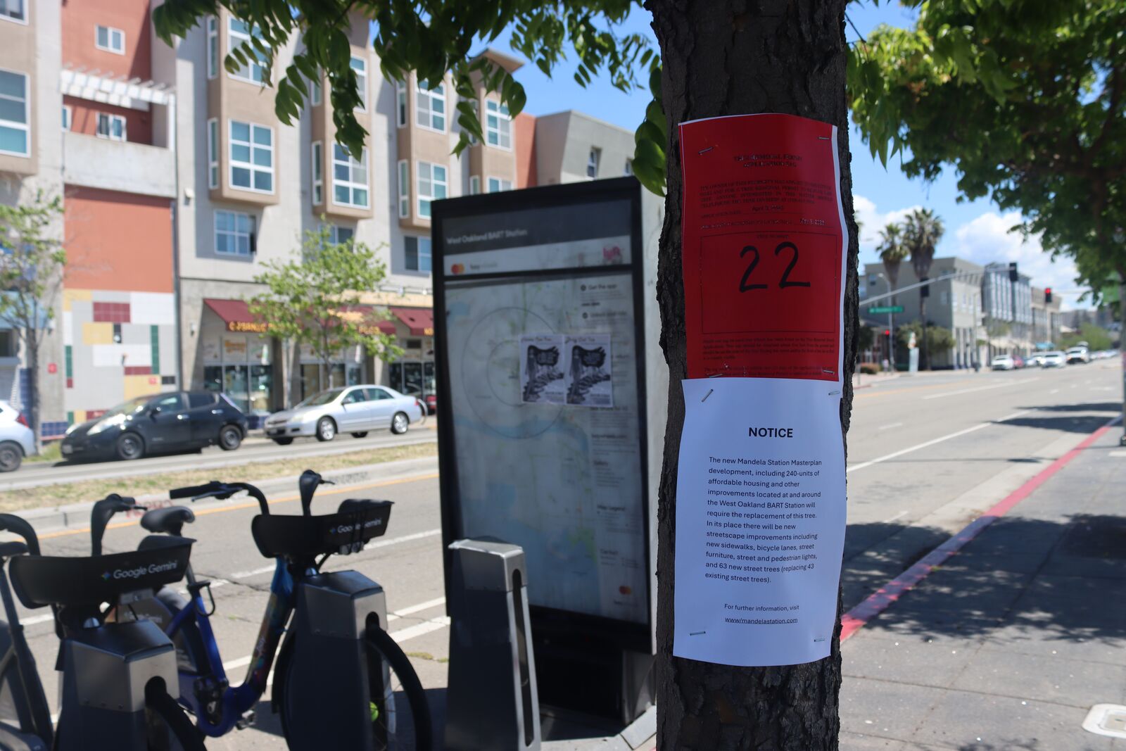 West Oakland BART trees