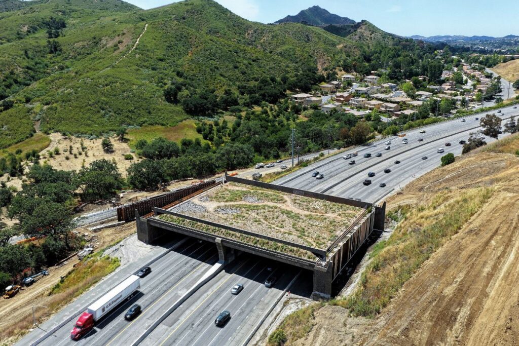 Wildlife Crossing (1)