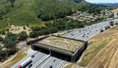 L.A. County Is About To Finish Building The World’s Largest Wildlife Crossing — The New Opening Date Is Set For This Winter