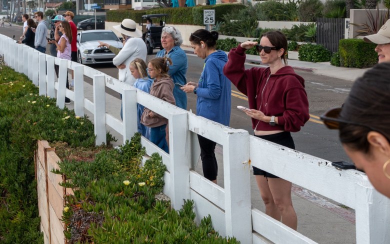 Crowd hoping to see spashdown