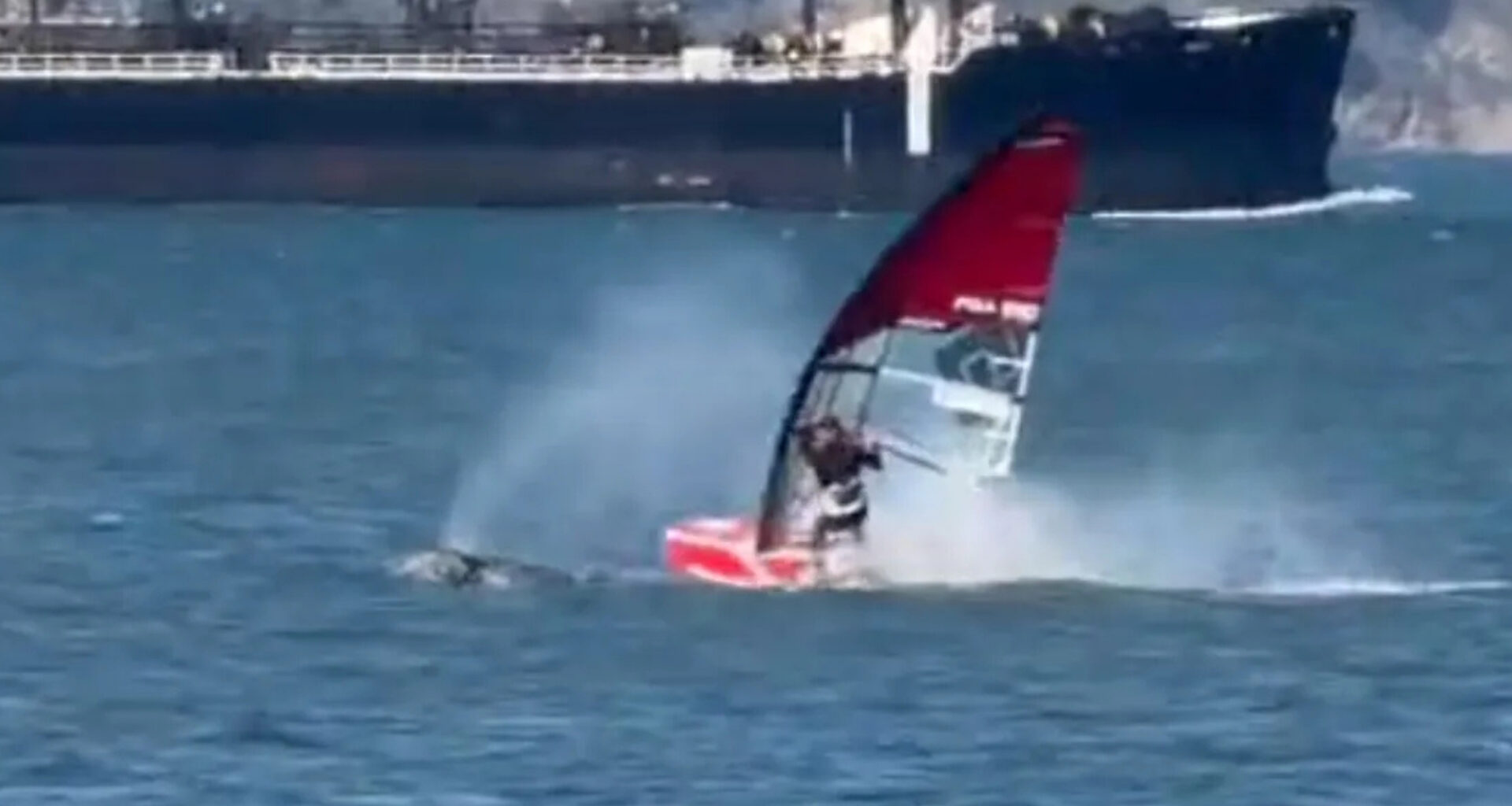 Windsurfer Gets Wrecked by Whale in San Francisco Bay in Crazy Video