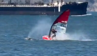 Windsurfer Gets Wrecked by Whale in San Francisco Bay in Crazy Video