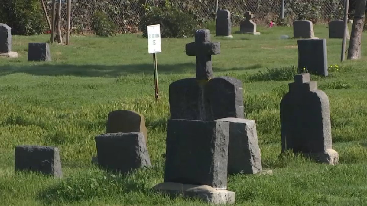 3 dogs stabbed during attempted theft at Compton cemetery – NBC Los Angeles