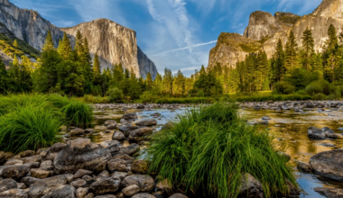 8 Best National Parks Near San Francisco