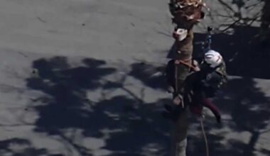 San Jose worker rescued from palm tree after medical emergency