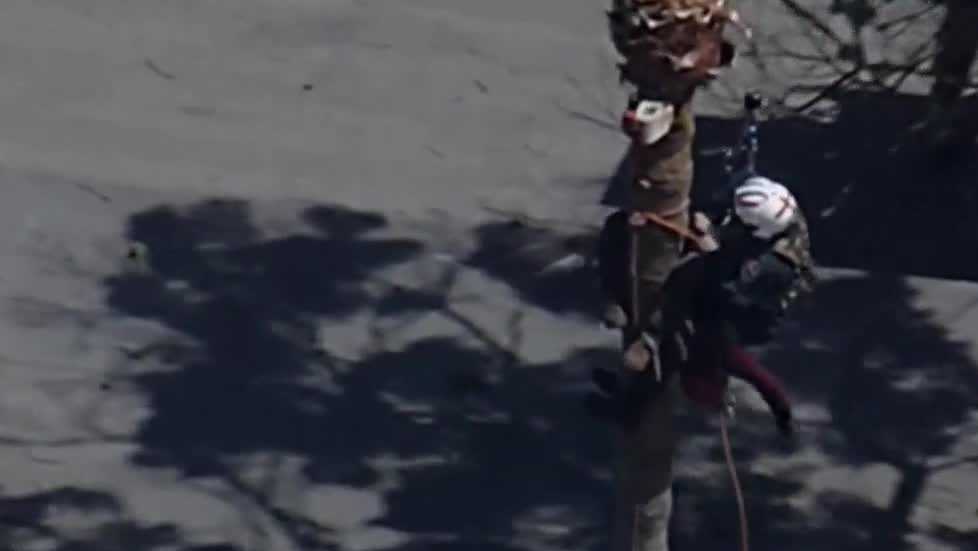 San Jose worker rescued from palm tree after medical emergency