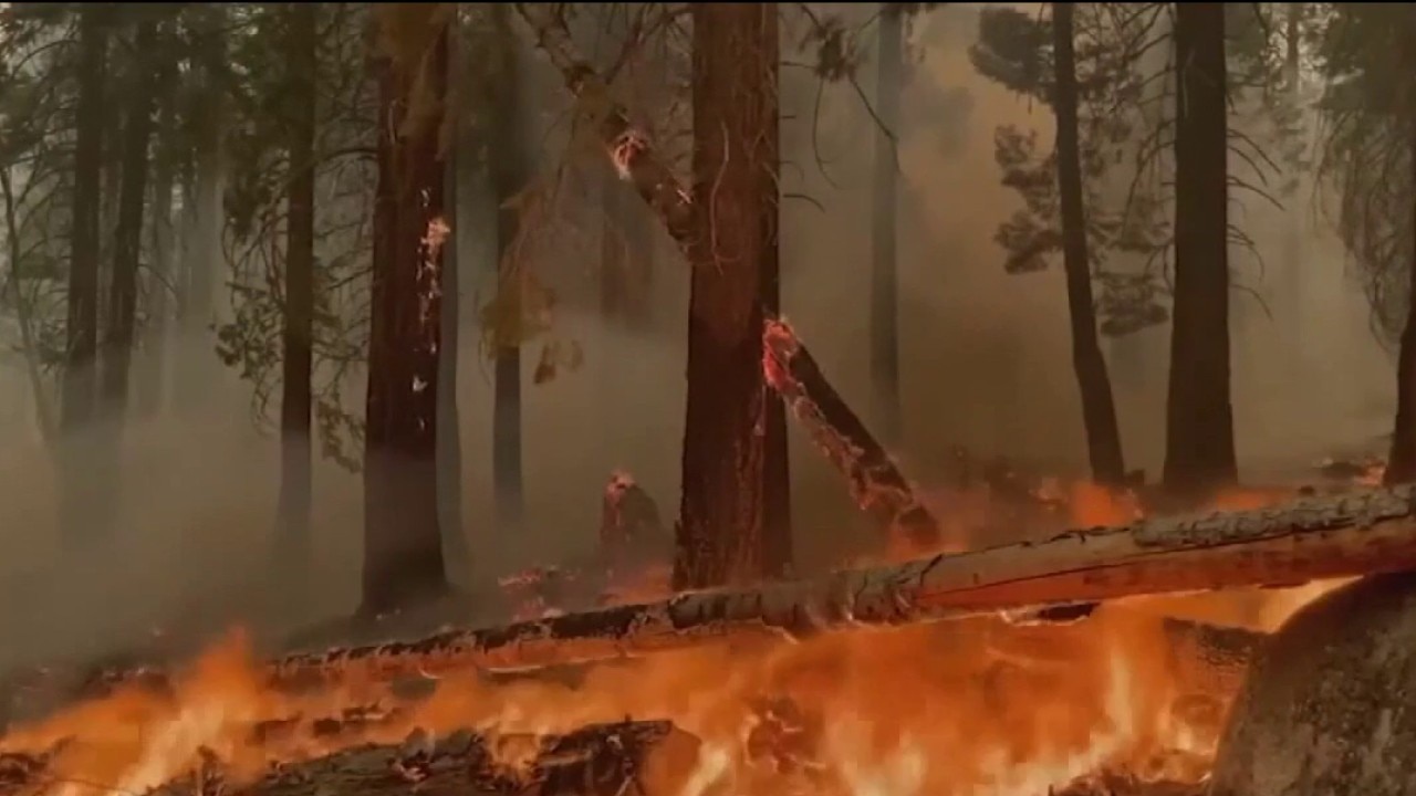US Forest Service to cut several California research stations 