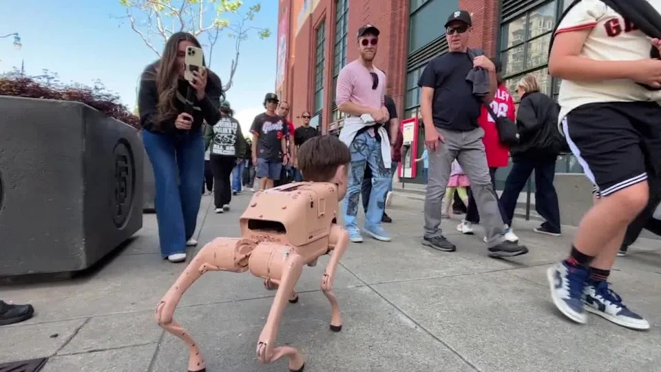 <div>An autonomous robot head of Elon Musk struts around San Francisco outside a Giants game at Oracle Park. April 8, 2026</div>