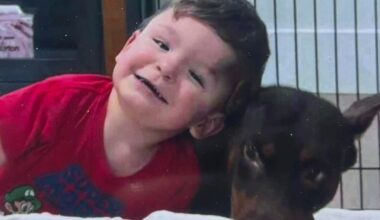 How San Jose's 'Baby Jaxon' ended up in foster care