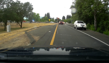 Grand theft suspect arrested after vehicle chase, K-9 bite, Sacramento sheriff says