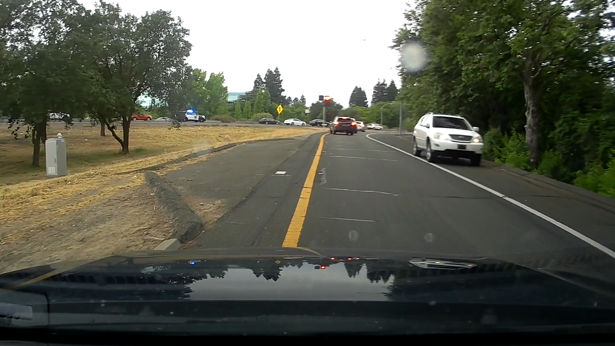 Grand theft suspect arrested after vehicle chase, K-9 bite, Sacramento sheriff says