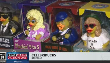 Famous people in rubber duck form - Celebriducks!