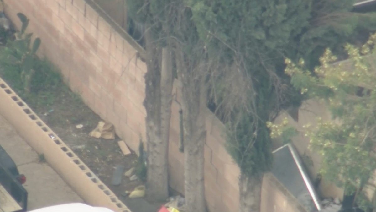 Bear reported in Fillmore neighborhood – NBC Los Angeles