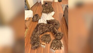 'Operation Bear Claw: California trio sentenced in $142K bear suit insurance fraud