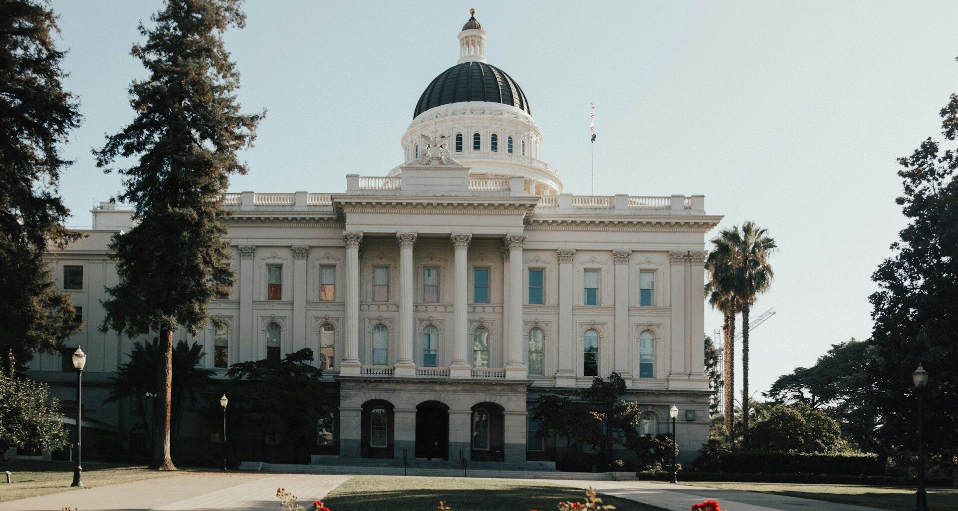 See the candidates’ incomes and tax payments • Sacramento News & Review