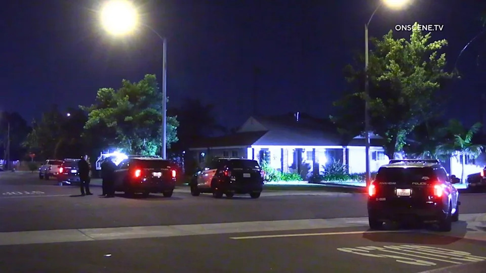 Woman sought in Anaheim stabbing