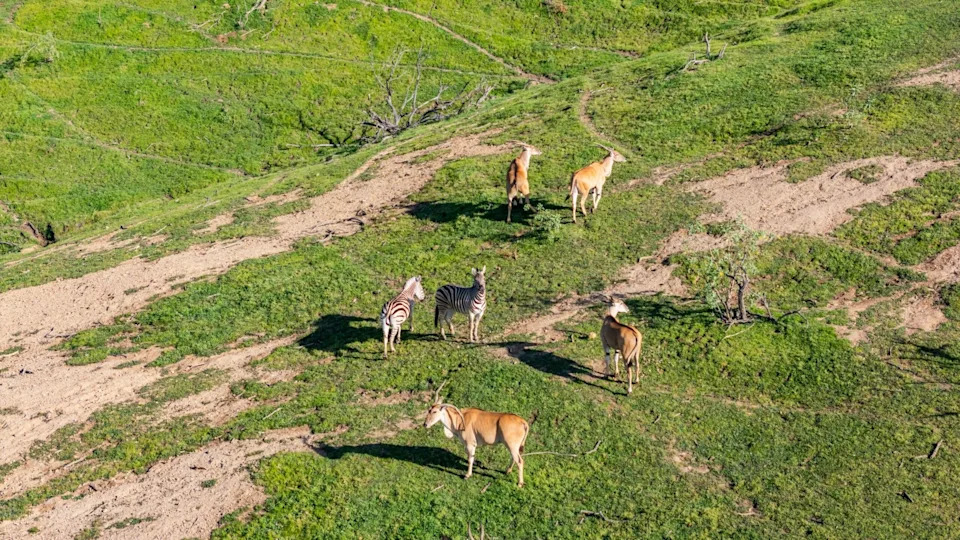 Wildlife sanctuary at Marconi Ranch in San Juan Capistrano, CA, on sale for $25,000,000