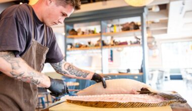 Yahoo entertainment home