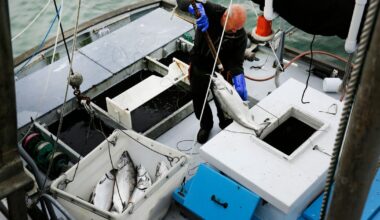 Commercial salmon fishing to open in California for the first time since 2022 as population rebounds :: WRAL.com