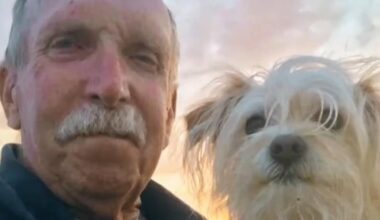 California mom charged after teen son critically injures Vietnam vet