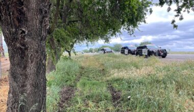 Woodland area crash off Highway 113 leaves 1 dead
