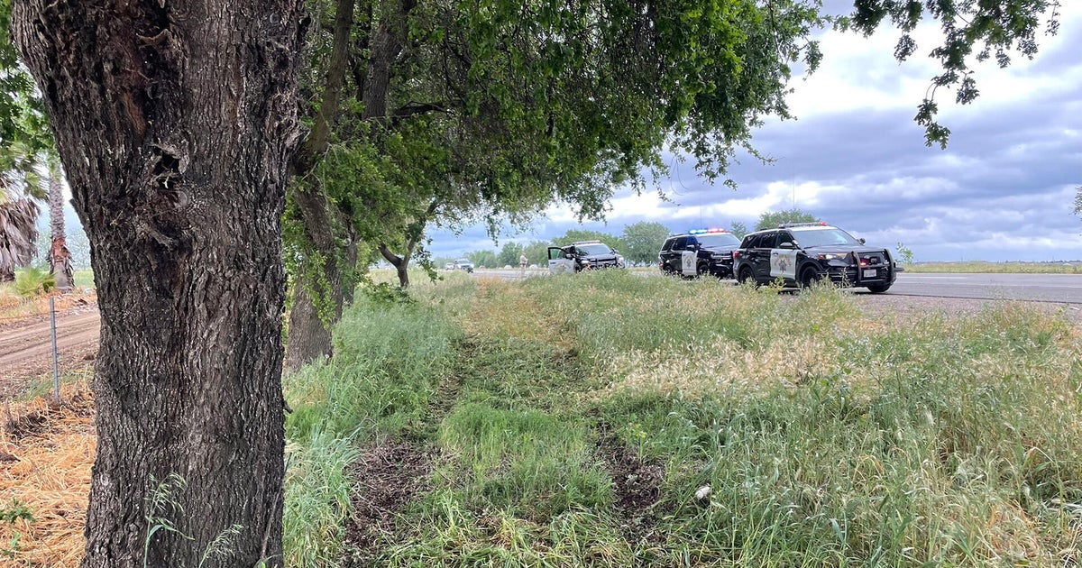 Woodland area crash off Highway 113 leaves 1 dead