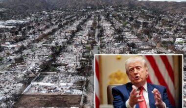 Trump wages war on California insurance giants over wildfire payouts while teasing probe: ‘Horrendous companies’