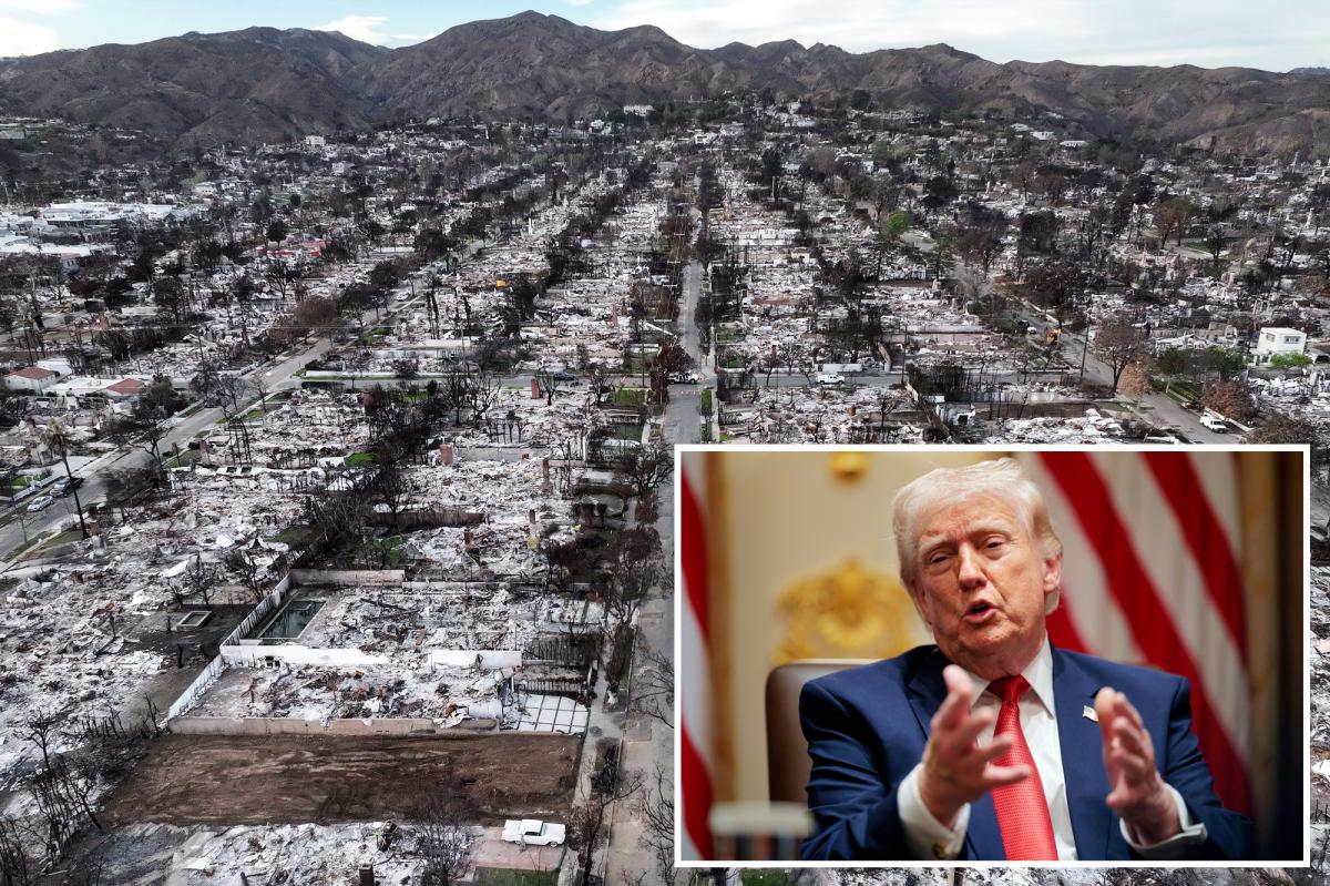 Trump wages war on California insurance giants over wildfire payouts while teasing probe: ‘Horrendous companies’