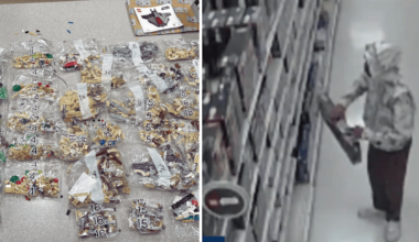 California man allegedly swapped LEGO bricks for dry pasta, returned 70 boxes to Target for $34K in refunds