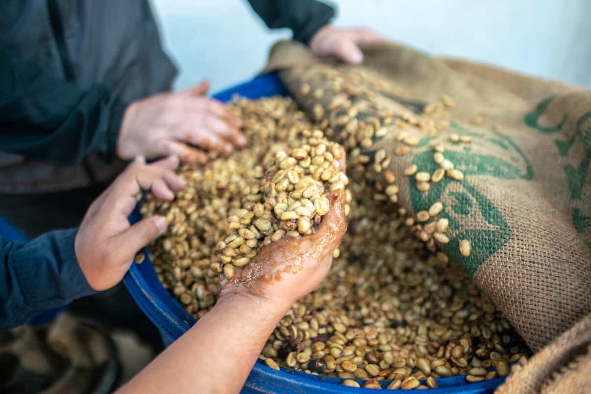 The Locals' Guide to San Diego Coffee