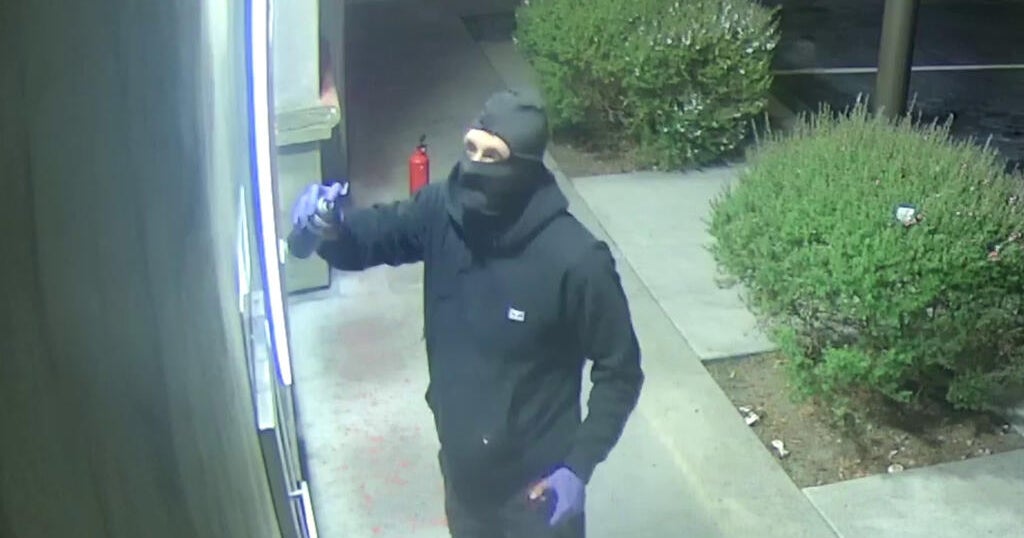 Central California vandalism suspect arrested in Europe on arson, terror charges