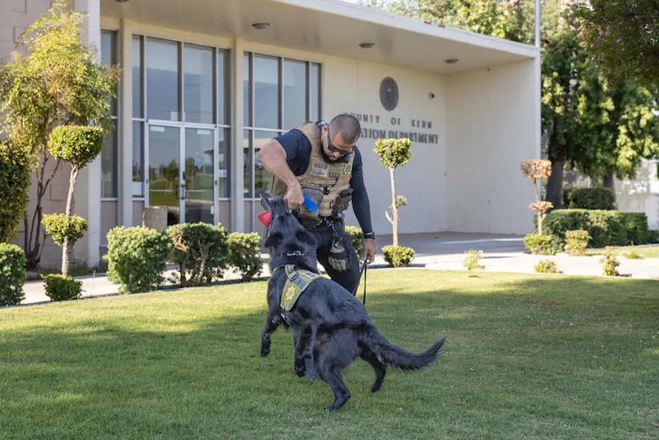 Photo courtesy of the Kern County Probation Department