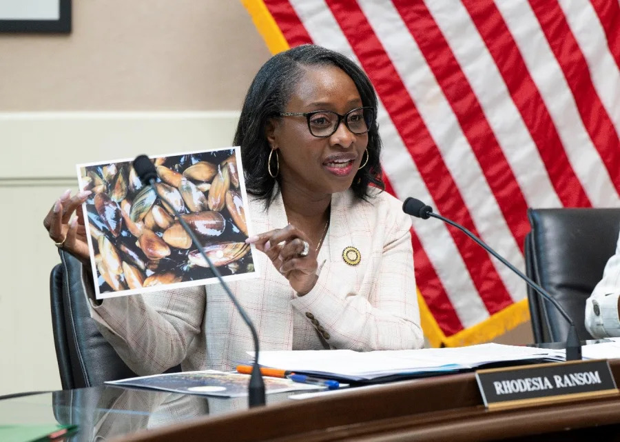 <em>Image: Assemblymember Ransom Addresses Golden Mussel Crisis in Budget Hearing</em>