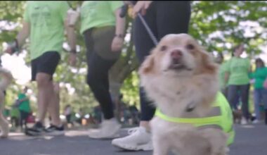 'Doggy Dash' brings dogs and dog lovers to William Land Park for a good cause