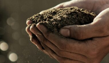 man cupping his hands full of dirt