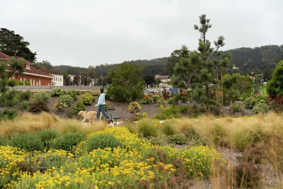 Presidio Tunnel Tops park visitors walk through the park surrounded by blossoming plants in San Francisco, in 2023. (Michaela Vatcheva/Special to the Chronicle 2023)