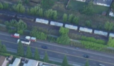 Pedestrian dies after hit by train near Roseville and Walerga roads