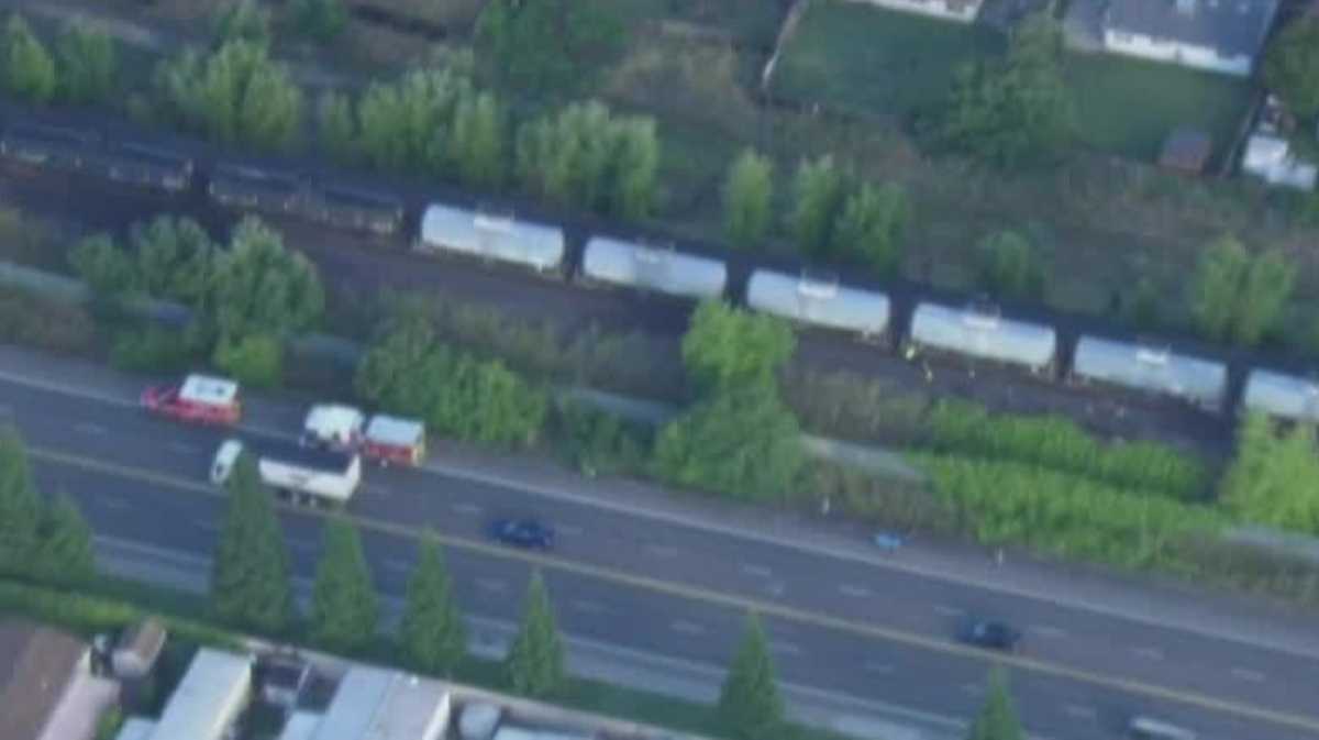 Pedestrian dies after hit by train near Roseville and Walerga roads