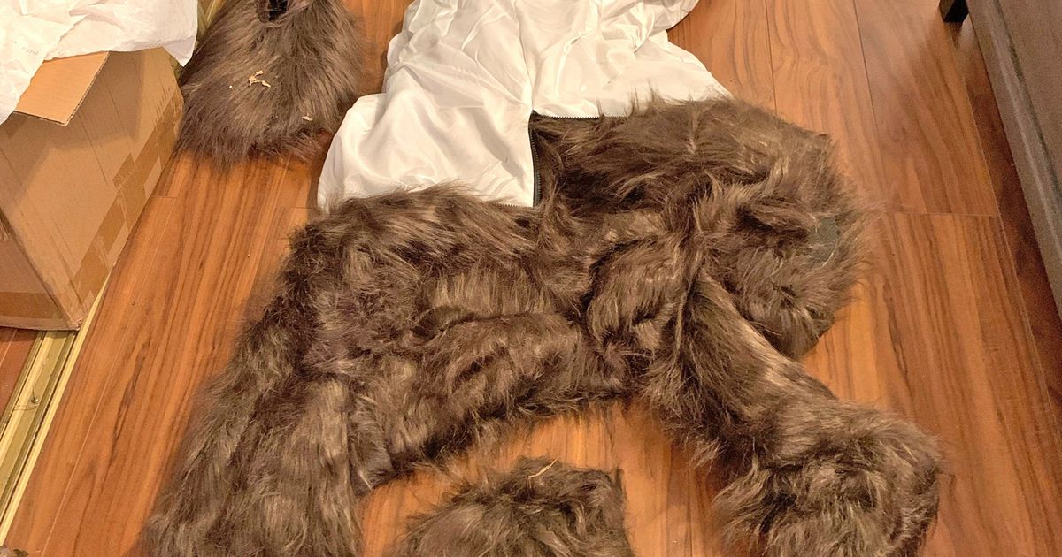 California bear-suit luxury car scam ends in insurance fraud sentences for 3 :: WRAL.com