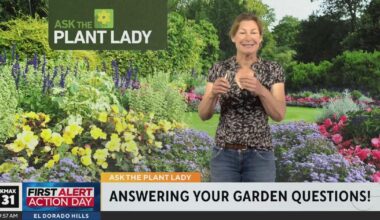 The Plant Lady 9am Pt. 2 (4/12)