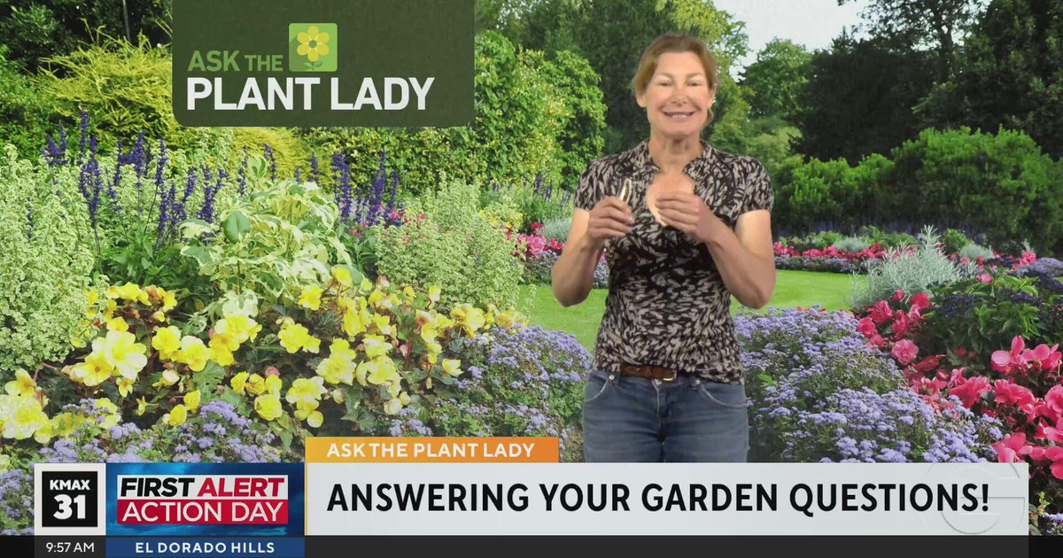 The Plant Lady 9am Pt. 2 (4/12)