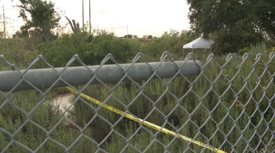 Long Beach human remains