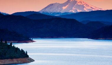 Child drowns after going into California's Shasta Lake without life jacket