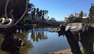 Getty Center and La Brea Tar Pits museum closing for renovation projects