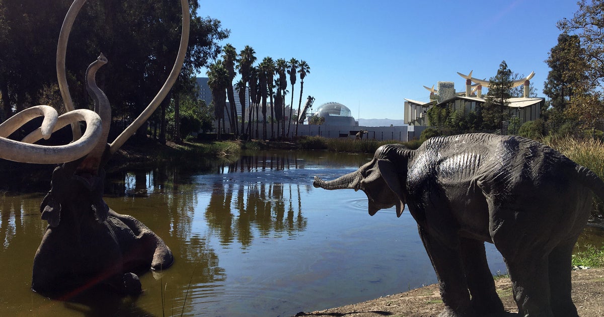 Getty Center and La Brea Tar Pits museum closing for renovation projects